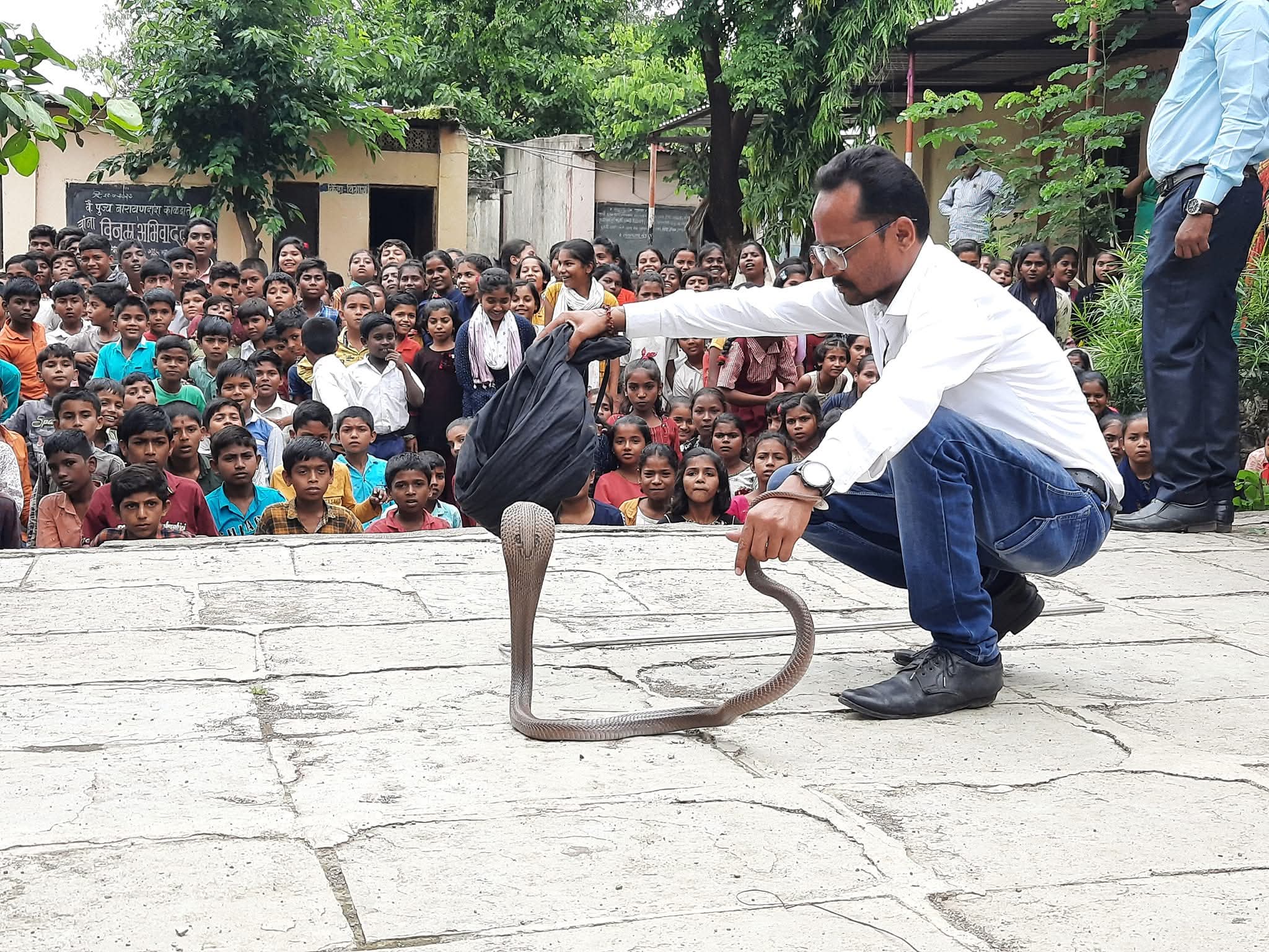 वृक्षारोपण